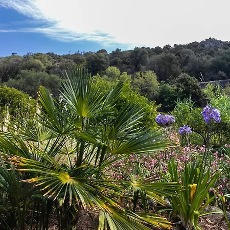 Casa Di Angeli Corbara