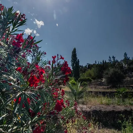 Casa Di Angeli * Corbara
