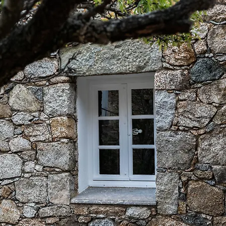 Pensión Casa Di Angeli Corbara