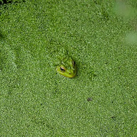 Guest house Casa Di Angeli