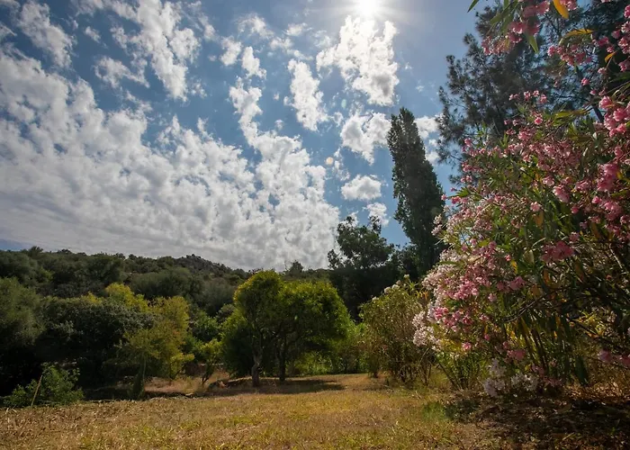 Affittacamere Casa Di Angeli *