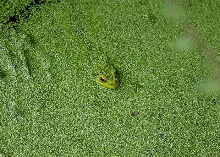 Affittacamere Casa Di Angeli
