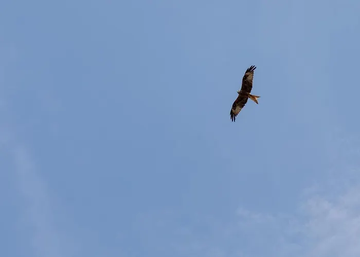 Affittacamere Casa Di Angeli