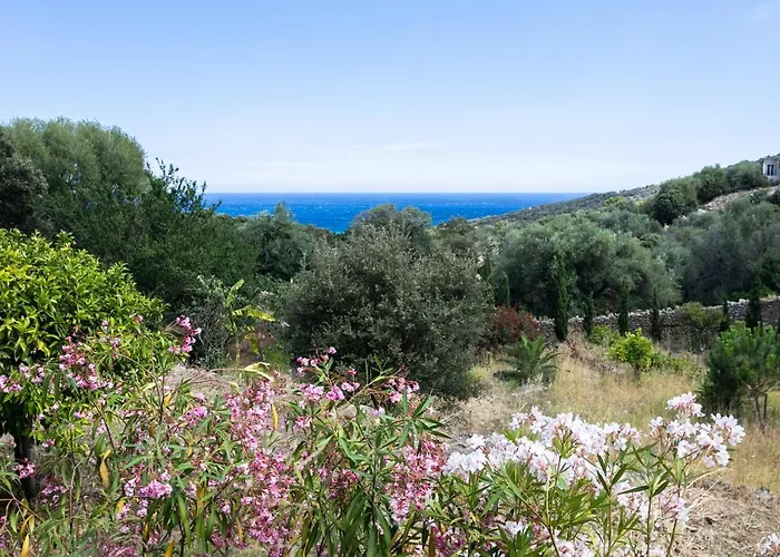 Casa Di Angeli *