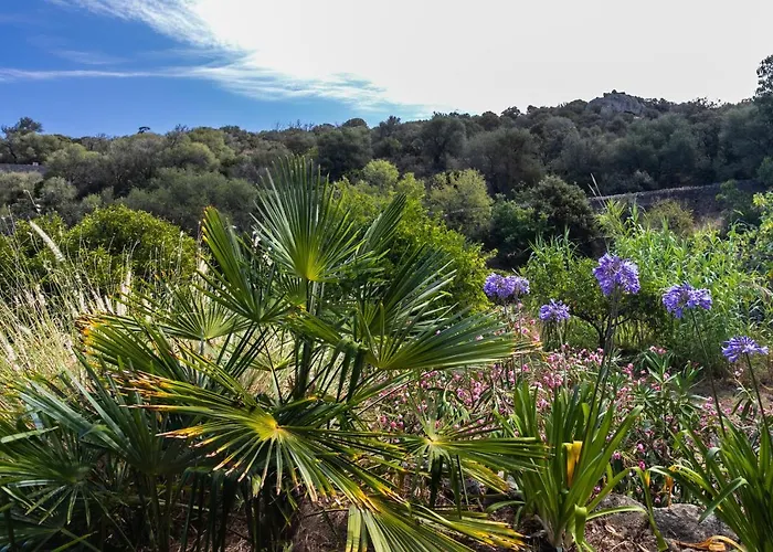 Casa Di Angeli Corbara