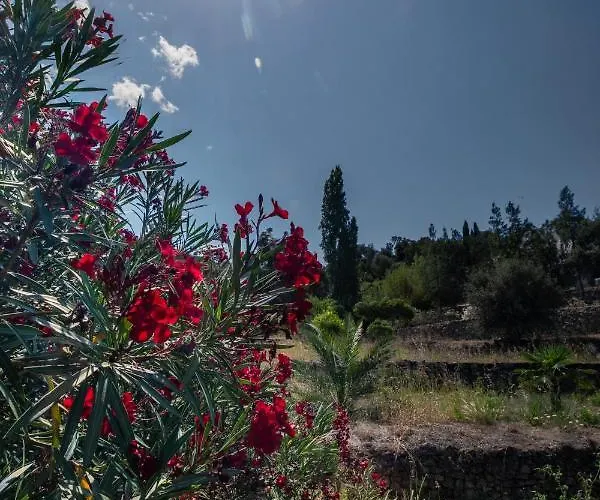 Casa Di Angeli * Corbara